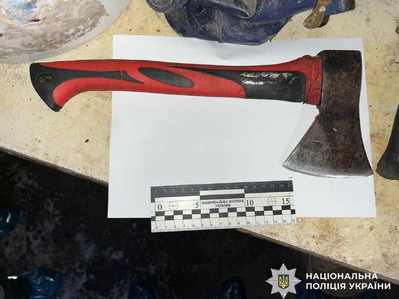 Побутова трагедія: жінка вбила співмешканця сокирою