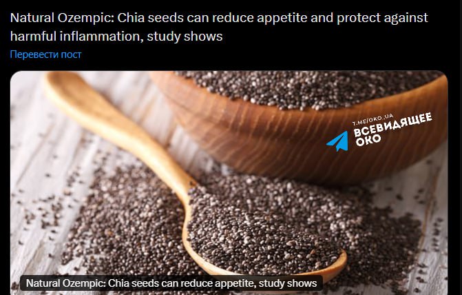 Насіння чіа — природний «Оземпік»: нове відкриття дієтологів 🌱