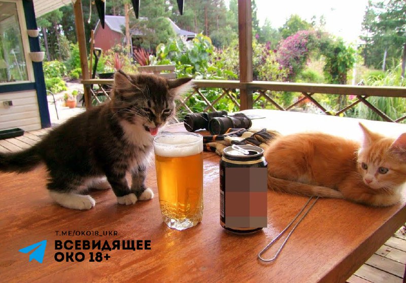 Зв'язок між типом особистості та вподобаннями в алкоголі